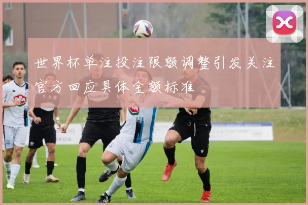 世界杯单注投注限额调整引发关注官方回应具体金额标准