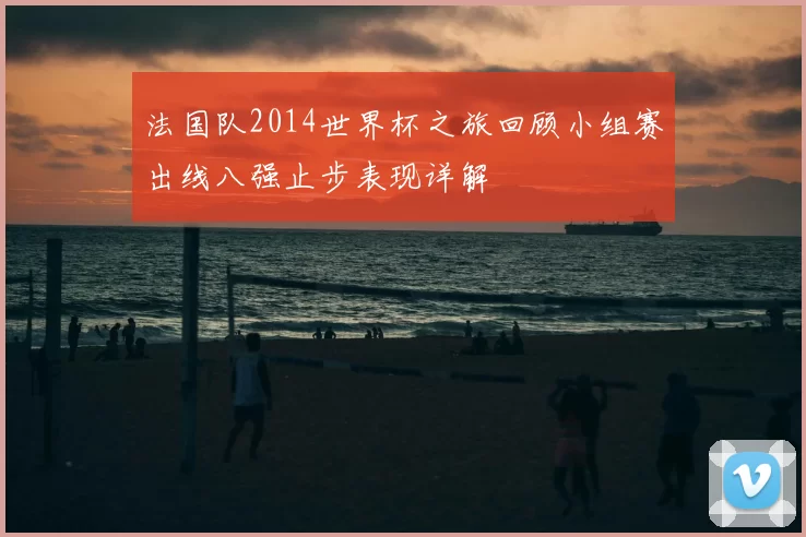 法国队2014世界杯之旅回顾小组赛出线八强止步表现详解