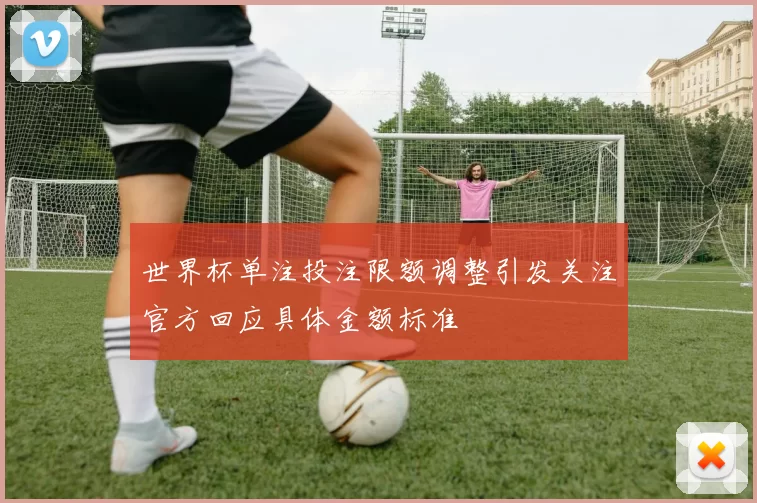 世界杯单注投注限额调整引发关注官方回应具体金额标准