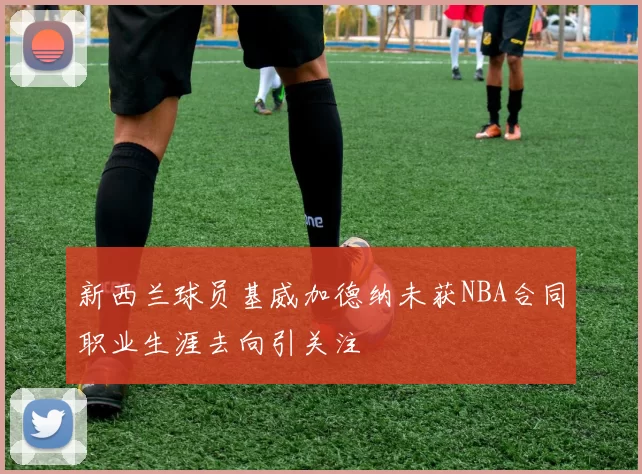 新西兰球员基威加德纳未获NBA合同职业生涯去向引关注